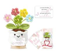 Regalos para Mujer Crochet Flores con Tarjeta Y Caja Regalos Funcionales Mujer Mamá Niños Novia Maestro Personalizados Regalo Cumpleaños Navideños San Valentin Dia del Madre Detalles Decoración Hogar