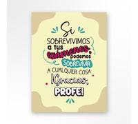 Regalos para Profesores y Profesoras - Cuadro Original en PVC 5mm, 3 Tamaños Disponibles, 4 Diseños a Elegir (Modelo 2)