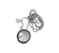Regalos personalizados para la pérdida de mascotas, collar con medallón de forma redonda para sujetar la memoria del del perro y del gato, colgante tradicional de aleación de zinc para de