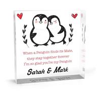 Regalos personalizados para parejas de pingüinos para novio, novia, esposa o marido, perfecto para el día de San Valentín, regalos para cumpleaños o aniversario de boda, letrero acrílico de pingüino