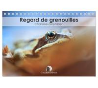 Regard de Grenouilles - Charisme amphibien (Calendrier de bureau 2025 DIN A5 vertical), CALVENDO calendrier mensuel: Plongez dans l'univers captivant ... et la personnalité unique des grenouilles.