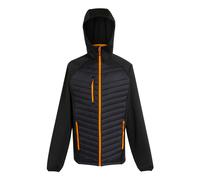 Regatta - Chaqueta Híbrida Navigate Acolchada para Hombre