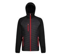 Regatta Chaqueta Híbrida Navigate Acolchada para Hombre (RG9341) UTRG9341_19