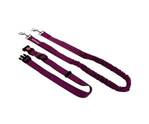 Regatta Correa Reflectante Que Absorbe los Golpes Resistente para Correr con Correa para Perro, Talla única