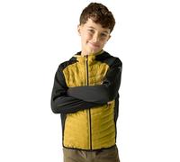 Regatta Jr Andreson Hy Chaqueta acolchada híbrida juvenil unisex para niños Regatta Andreson Unisex niños (Pack de 1)