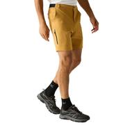 Regatta Pantalones Cortos Ligeros de Viaje Hombre, antiinsectos, para Senderismo y Caminatas