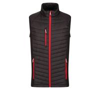 Regatta Professional Chaleco Acolchado para Hombre (RG9422) UTRG9422_1
