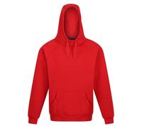 Regatta Professional Sudadera Sobre la Cabeza para Hombre (RG9268) UTRG9268_24