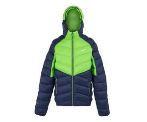 Regatta Regatta Mens Dalent Lightweight Hooded Padded Jacket Abrigo acolchado Hombre (Pack de 1)