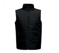 Regatta Standout Chaleco aislante de invierno Access para chico hombre (PC3323)