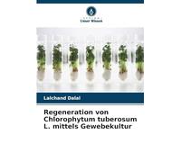 Regeneration von Chlorophytum tuberosum L. mittels Gewebekultur