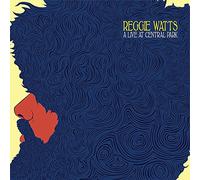 Reggie Watts - A Live At Central Park