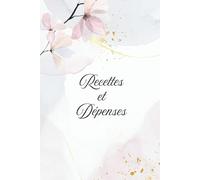 Registre Recettes et Dépenses: Carnet de comptes, Journal de gestion financière pour auto-entrepreneurs, petites entreprises et budget personnel. Suivi clair et pratique des finances