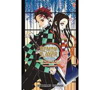 Registro della squadra ammazzademoni. Demon slayer. Kimetsu no yaiba. Official fanbook (Vol. 1)