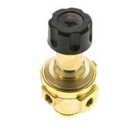 Regulador de presión G1/4'' 490l/min 0.1-1.5bar/1-22psi Latón Gases Líquidos