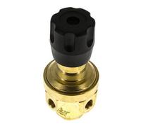 Regulador de presión G1/4'' 490l/min 0.2-3.0bar/3-44psi Latón Gases Líquidos
