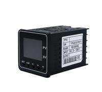 Regulador de temperatura de rampa de inmersión 50 segmentos programable 4-20 mA entrada RS485 relé SSR 4-20 mA salida 48 x 48 mm PMA100 (0-10 V OPT 1ALM RS485)
