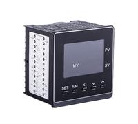 Regulador de temperatura programable 4-20 mA Relé SSR 0-10 V Salida Entrada Rampa Soak Inteligente 96 x 96 PMA900 (SSR Output 2Alarms)
