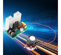 Regulador de Voltaje de Alta Potencia 8000W Controlador de Velocidad del Motor de CA con Control e Ion