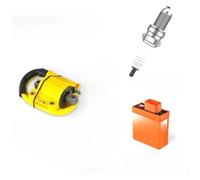 Regulador para 50cc para D9RIV Dispositivo De Encendido por Chispa Ciclomotor Accesorios para Scooter Caja CDI Motocicleta Unidad Bobina(Ignition Device Set)
