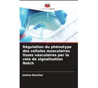 Régulation du phénotype des cellules musculaires lisses vasculaires par la voie de signalisation Notch