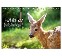 Rehkitze, zierliche Schönheiten mit großen, sanften Augen (Tischkalender 2026 DIN A5 quer), CALVENDO Monatskalender: Bezaubernde Nahaufnahmen von Rehkitzen