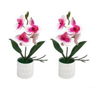 Rehoetom Juego de 6 orquídeas Phalaenopsis en maceta con aspecto realista para decoración de interiores, adecuadas para sala de estar, oficina y para uso en eventos (núcleo morado blanco)