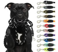 Reichstadt Pets Correa para Perros - de Nylon Suave con empuñadura de EVA, Reflectante, mosquetón Giratorio | Correa Resistente para Perros pequeños, medianos y Grandes 25RSP084 Black 1,5m