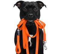 Reichstadt Pets Correa Resistente de PVC para Perros - Repelente al Agua, Superficie Antideslizante | mosquetón de Acero Inoxidable Giratorio 360°, fácil de Limpiar y Resistente Intemperie Orange 5m