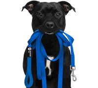 Reichstadt Pets Correa Resistente de PVC para Perros - Repelente al Agua, Superficie Antideslizante | mosquetón de Acero Inoxidable Giratorio 360°, fácil de Limpiar y Resistente Intemperie Blue 5m