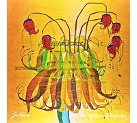 Reimer Jess - Nightjar & the Garden [Vinilo]