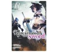 Reincarnated As A Sword (light Novel) Vol. 11 : 11