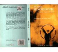 Reincarnazione. L'eterno viaggio dell'anima (Oscar nuovi misteri)