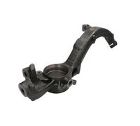 REINHOCH RH08-0055 Mangueta delantera izquierda compatible con VW Passat 3B3 8D0407253A 8D0407253C 8D0407257AR