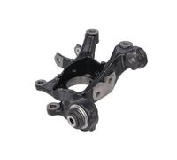 REINHOCH RH08-8035 Mangueta trasera izquierda compatible con Toyota RAV 4 III ACA3, ACE, ALA3, GSA3, ZSA3 423050R010 423050R020 4230542020