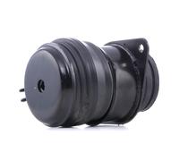 REINHOCH RH11-0107 Soporte de motor
