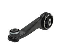 REINHOCH RH11-2156 Soporte elástico suspensión del motor Izquierda