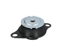 REINHOCH Soporte de motor compatible con FIAT Strada Pick-up 178 PALIO 178BX Siena 178, 172 PALIO Weekend 178DX RH11-1020