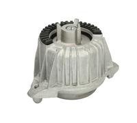 Reinhoch Soporte De Motor Delante Izquierda Para Mercedes E-Class S212 W212