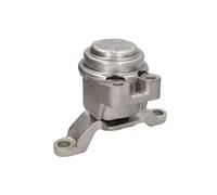 REINHOCH Soporte de motor Rodamiento de caucho-metal Compatible con FORD MONDEO IV Turnier BA7 RH11-4061