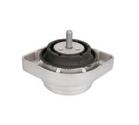 REINHOCH Soporte de motor Soporte hidráulico Compatible con BMW X3 E83 RH11-3062