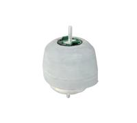 REINHOCH Soporte de motor Soporte hidráulico Compatible con VW Passat B5 GP Variant 3BG, 3B6 RH11-0017