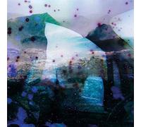 Reinier Van Houdt - Igitur Carbon Copies (Feat David Tibet) [VINYL] [Vinilo]