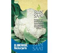 ReinSaat Coliflor - Neckarperle - 1 paq.