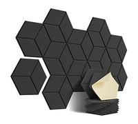 Reinscer 12 PACK, placas de aislamiento acústico autoadhesivas, para aislamiento acústico y tratamiento acústico (negro)