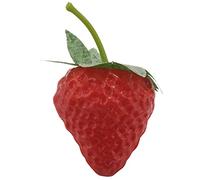 Reinscer 20 unidades de fresas fresas, fresas, decoración para casa, cocina, armario, pequeño