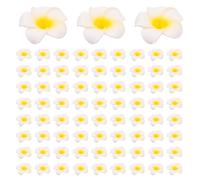 Reinscer Conjunto de 600 varitas hawaianas de espuma Plumeria flores hojas flores sombrero decoración de boda de bricolaje (5 cm)