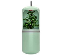 Reinscer Fuente de agua automática para beber reptil, fuente de agua, alimentación terrario, anfibios, enchufe de la UE
