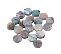 Reinscer Gruene Abalone Inlay Dots 6 mm Guitarra Ukelele Banjo (20 unidades)