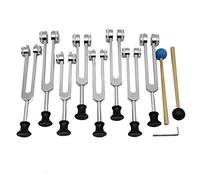 Reinscer Juego de diapasón para sanación, terapia de sonido (126,22 Hz, 136,1 Hz, 141,27 Hz, 172,06 Hz, 194,18 Hz, 210,42 Hz, 221,23 Hz), color plateado